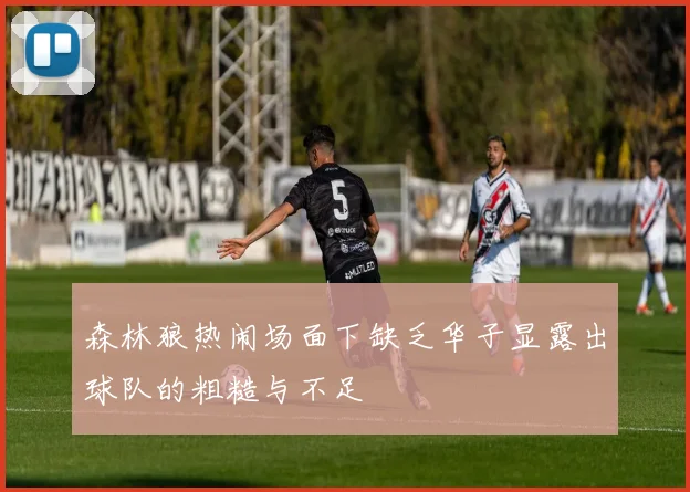 森林狼热闹场面下缺乏华子显露出球队的粗糙与不足
