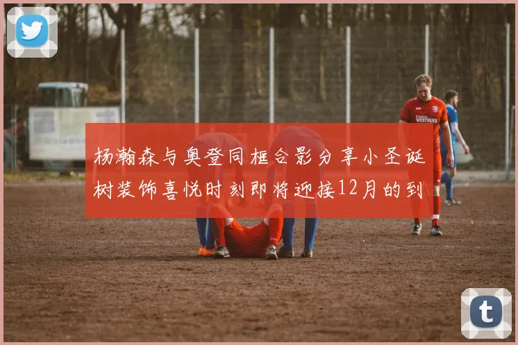 杨瀚森与奥登同框合影分享小圣诞树装饰喜悦时刻即将迎接12月的到来
