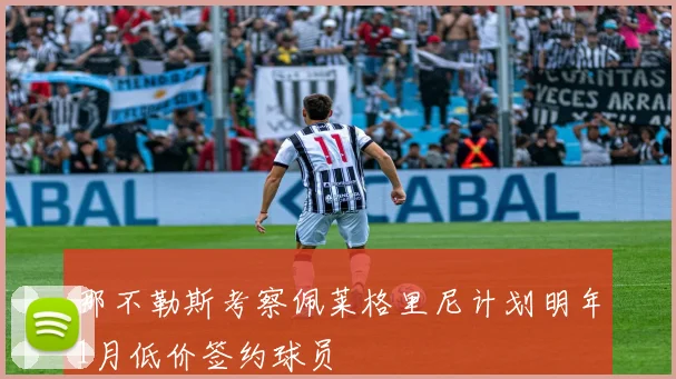 那不勒斯考察佩莱格里尼计划明年1月低价签约球员