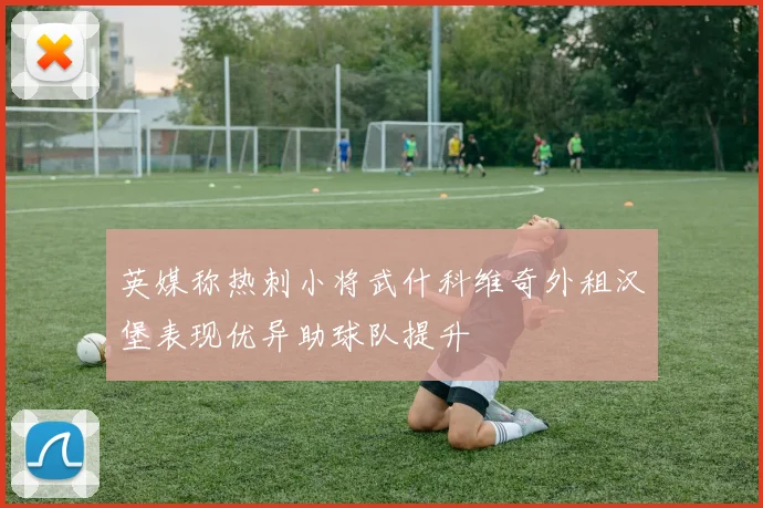 英媒称热刺小将武什科维奇外租汉堡表现优异助球队提升