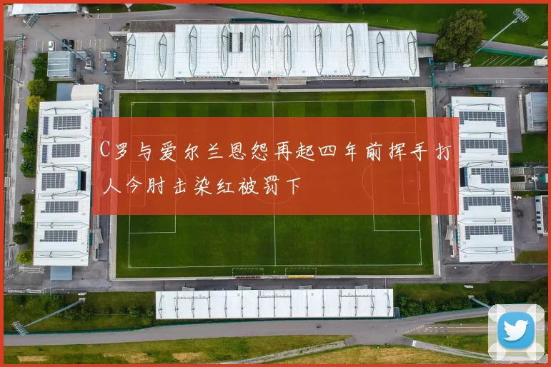 C罗与爱尔兰恩怨再起四年前挥手打人今肘击染红被罚下