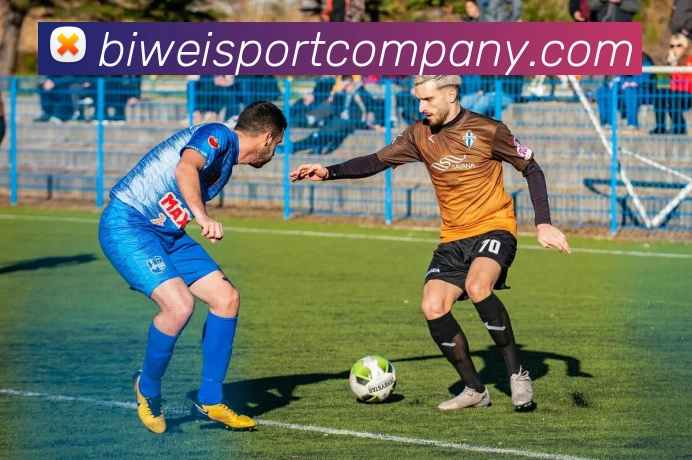 必威足球平台生态图